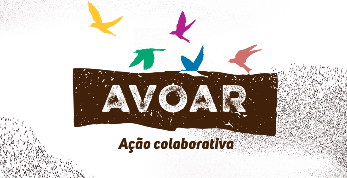 logo do projeto Avoar