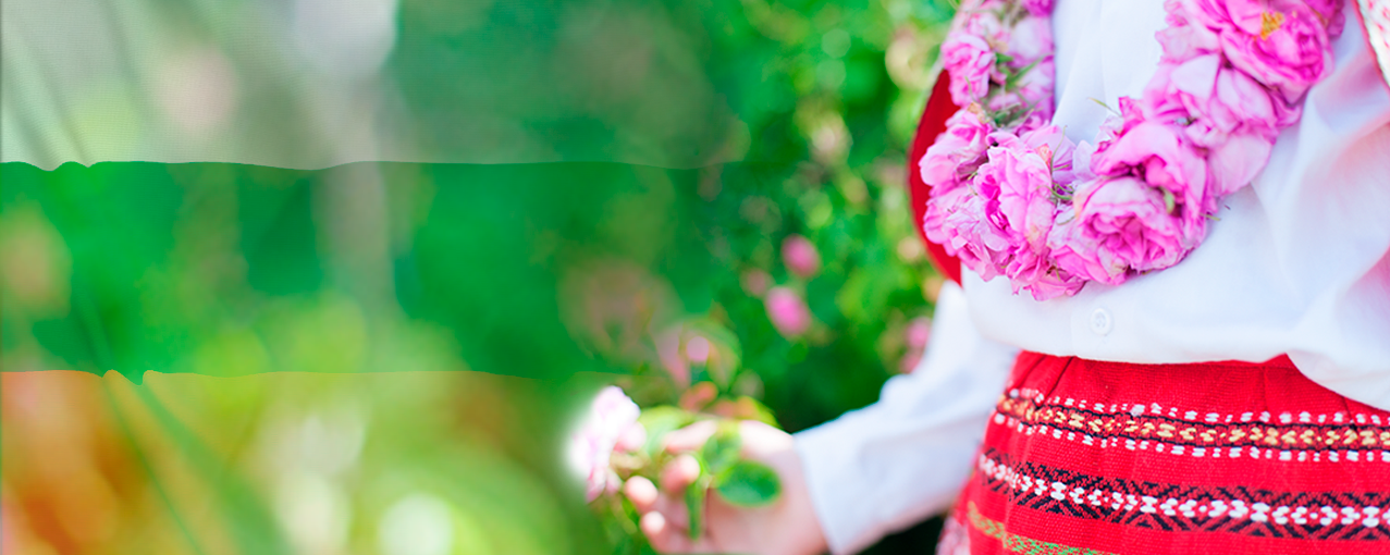 Festival das Rosas