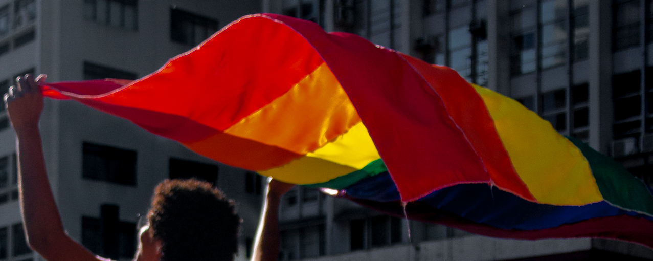 Bandeira do Orgulho LGBT
