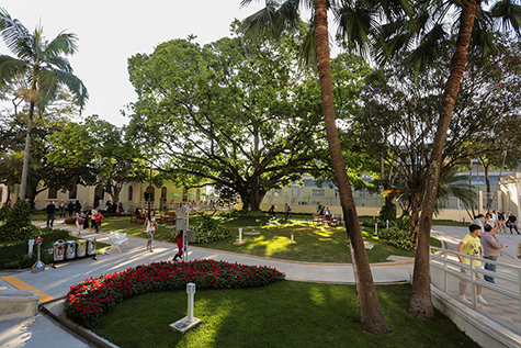 jardim jardim